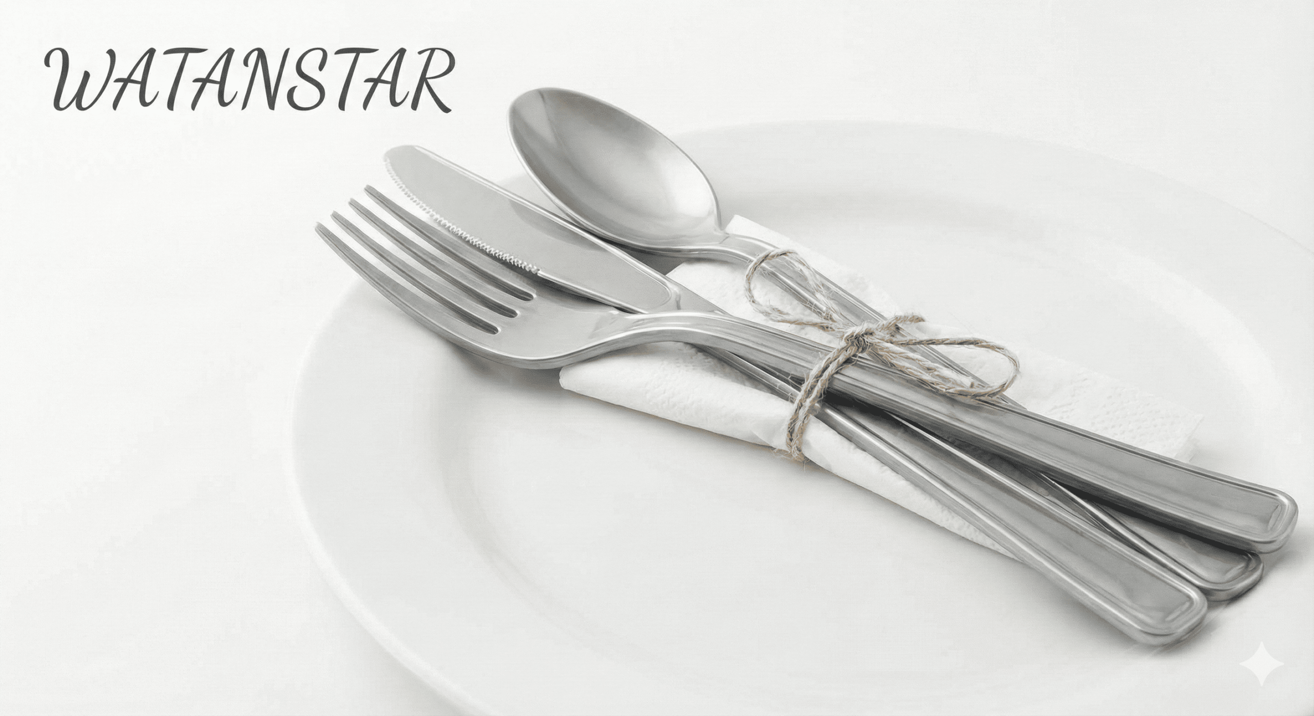 ادوات السفره